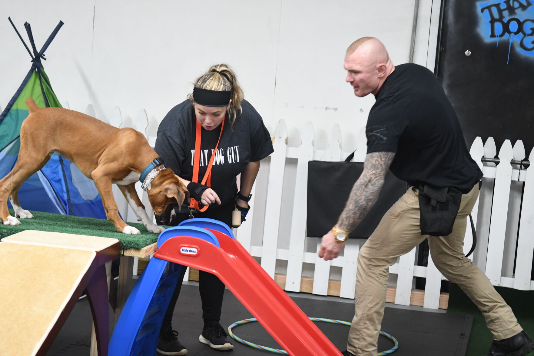 'Dog Guy' turns love of dogs into business